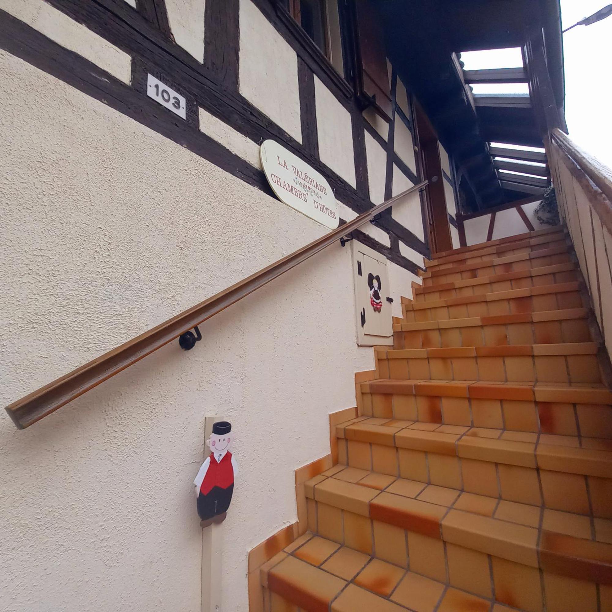 La Valeriane Apartman Kintzheim Kültér fotó
